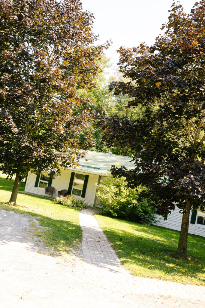 two trees in front of cottage
