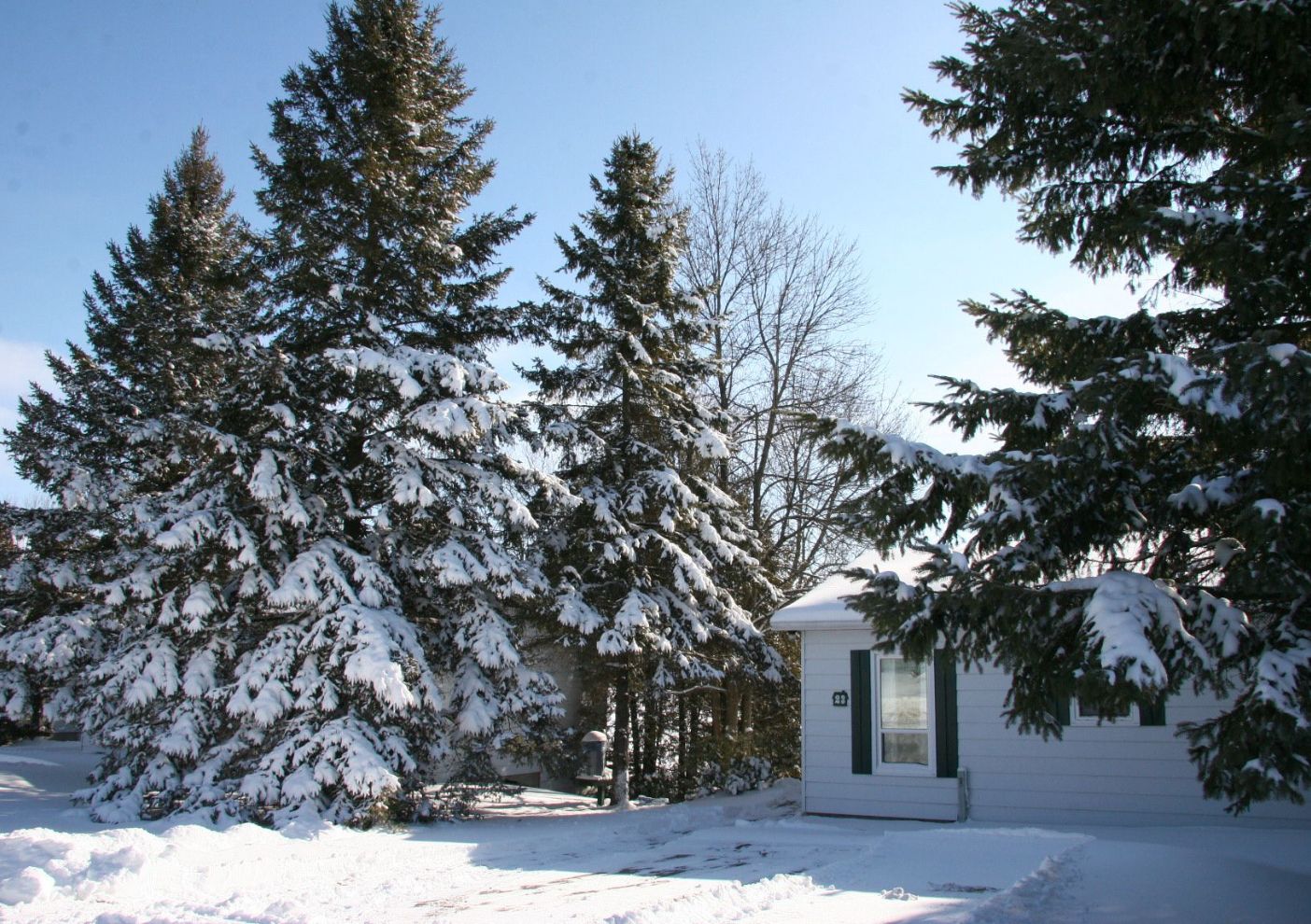 winter cottage