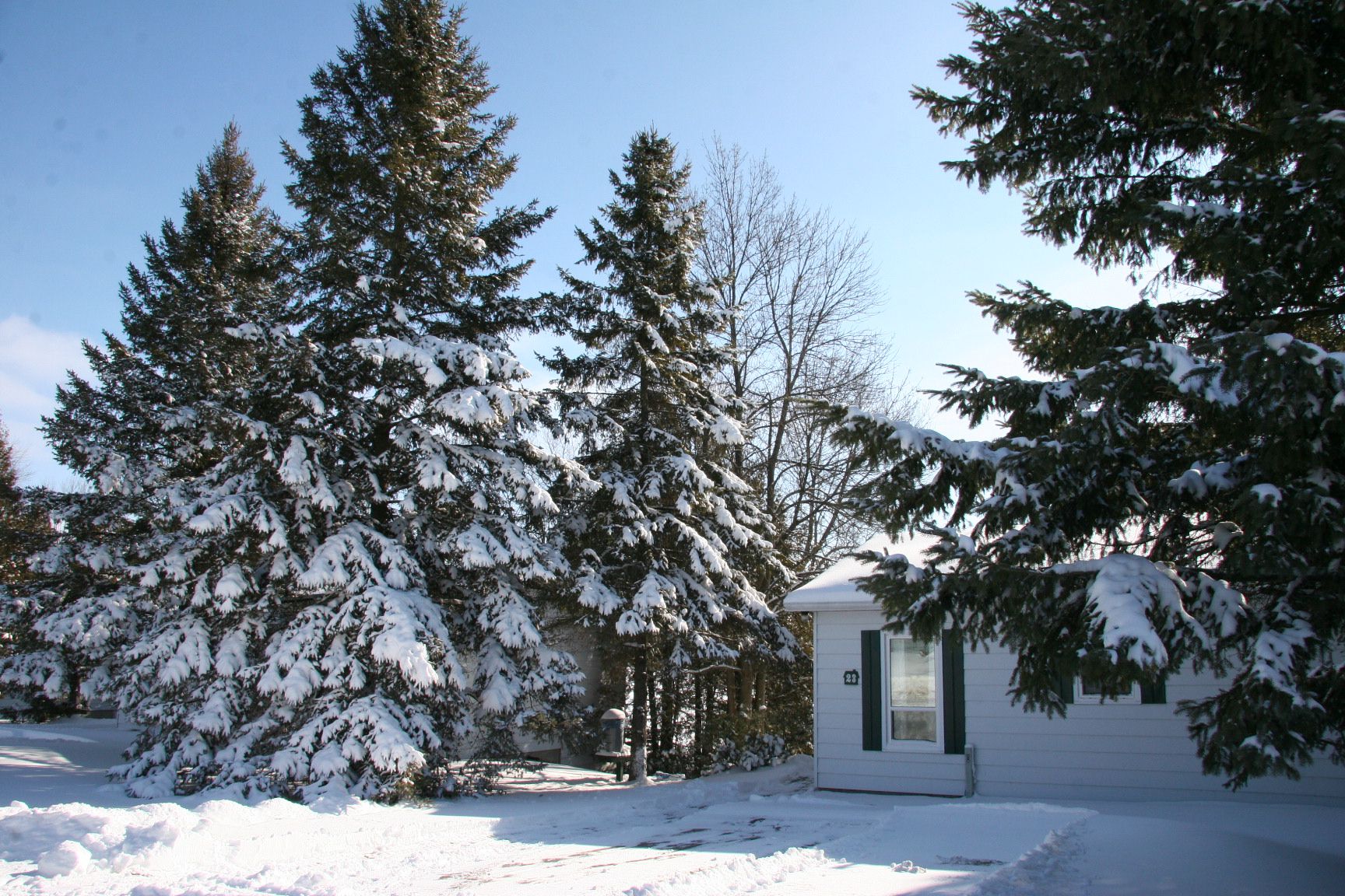 winter cottage